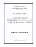 Luận văn Thạc sĩ Kinh tế: Các nhân tố ảnh hưởng đến hiệu quả sản xuất tại các doanh nghiệp trên địa bàn TP. Hồ Chí Minh