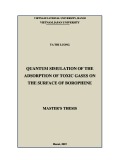 Master’s thesis Nanotechnology: Quantum simulation of the adsorption of toxic gases on the surface of borophene