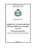 Khóa luận tốt nghiệp: Nghiên cứu tác dụng điều trị viêm đại tràng từ cao chiết cây Vối (Cleistocalyx Operculatus)