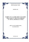 Khóa luận tốt nghiệp: Nghiên cứu các điều kiện tách chiết hoạt chất ức chế α-glucosidase từ chủng Aspergillus niger