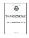 Khóa luận tốt nghiệp: Phân tích định tính thành phần hoá học và tác dụng bảo vệ tế bào của cao chiết cây Xấu hổ (Mimosa pudica Linn.) do methyl glyoxal gây ra