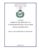 Khóa luận tốt nghiệp: Nghiên cứu đặc điểm thực vật và thành phần hóa học cây Dứa thơm (Pandanus amaryllifolius Roxb.)