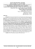 Khảo sát MIC của colistin trên Enterobacteriaceae đề kháng Beta-lactam, quinolon và Pseudominas aeruginosa đề kháng colistin tại Bệnh viện trường Đại học Y Dược Cần Thơ năm 2022-2023