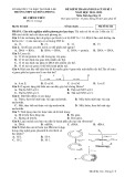 Đề thi học kì 1 môn Sinh học lớp 12 năm 2024-2025 - Trường THPT Lê Hồng Phong, Đắk Lắk