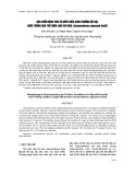 Đặc điểm hình thái và điều kiện sinh trưởng hệ sợi, nuôi trồng quả thể nấm linh chi đen (Amauroderma rugosum) Am20