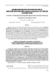 Biến động thành phần loài và mật độ phiêu sinh thực vật trong ao nuôi tôm thẻ chân trắng (Litopenaeus vannamei Boone, 1931) thâm canh tại Cái Nước, Cà Mau