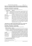 Impact of annealing temperatures on surface morphology and optical properties of reactive sputter deposited NiO films