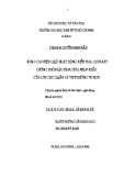 Luận văn Thạc sĩ Kinh tế: Nâng cao hiệu quả hoạt động kiểm tra, giám sát chống buôn lậu hàng hóa nhập khẩu của Chi cục Quản lý thị trường TP.HCM