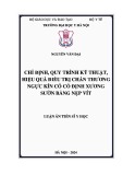 Luận án Tiến sĩ Y học: Chỉ định, quy trình kỹ thuật, hiệu quả điều trị chấn thương ngực kín có cố định xương sườn bằng nẹp vít