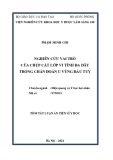 Tóm tắt Luận án Tiến sĩ Y học: Nghiên cứu vai trò của chụp cắt lớp vi tính đa dãy trong chẩn đoán u vùng đầu tụy