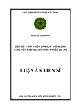 Luận án Tiến sĩ Kinh tế nông nghiệp: Liên kết phát triển sản xuất nông sản hàng hóa trên địa bàn tỉnh Tuyên Quang