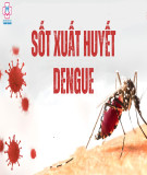 Bệnh Dungue xuất huyết (Sốt xuất huyết)