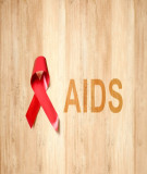 HIV-AIDS (Bệnh học cơ sở)