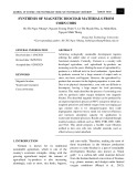 Synthesis of magnetic biochar materials from corn cobs