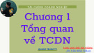 Bài giảng Tài chính doanh nghiệp - Chương 1: Tổng quan về tài chính doanh nghiệp (Quang Trung TV)