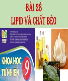 Tài liệu môn Khoa học tự nhiên lớp 9 - Chủ đề: Lipid và chất béo