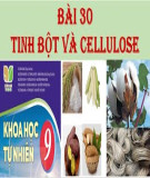 Tài liệu môn Khoa học tự nhiên lớp 9 - Chủ đề: Tinh bột và cellulose