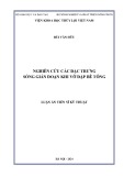 Luận án Tiến sĩ Kỹ thuật: Nghiên cứu các đặc trưng sóng gián đoạn khi vỡ đập bê tông