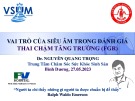 Bài giảng Vai trò của siêu âm trong đánh giá thai chậm tăng trưởng (FGR) - Nguyễn Quang Trọng