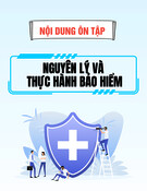Nội dung ôn thi học kỳ môn Nguyên lý và thực hành bảo hiểm
