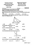 Đề thi giữa học kì 2 môn Toán lớp 11 năm 2024-2025 - Trường THPT Hùng Vương, HCM
