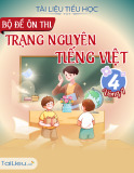 Bộ đề ôn thi Trạng nguyên Tiếng Việt lớp 4 - Vòng 7