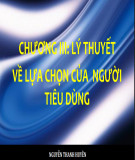 Bài giảng Kinh tế vi mô: Chương 3 - Nguyễn Thanh Huyền