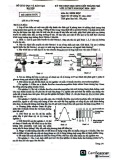 Đề thi học sinh giỏi cấp Thành phố môn Sinh học lớp 12 năm 2024-2025 - Sở GD&ĐT Hà Nội