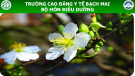 Bài giảng Kỹ thuật gội đầu cho người bệnh tại giường