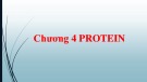 Bài giảng Sinh hóa đại cương - Chương 4: Protein
