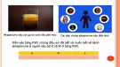 Bài giảng Sinh học 12 - Bài 13: Di truyền quần thể (Sách Chân trời sáng tạo)