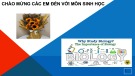 Bài giảng Sinh học 12 - Bài 1: Gene và cơ chế truyền đạt thông tin di truyền (Sách Chân trời sáng tạo)