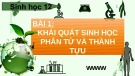 Bài giảng Chuyên đề Sinh học 12 - Bài 1: Khái quát sinh học phân tử và thành tựu (Sách Chân trời sáng tạo)