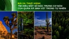 Bài giảng Sinh học 12 - Bài 24: Thực hành: Tìm hiểu một số đặc trưng cơ bản của quần xã sinh vật trong tự nhiên (Sách Chân trời sáng tạo)