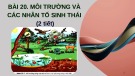 Bài giảng Sinh học 12 - Bài 20: Môi trường và các nhân tố sinh thái (Sách Chân trời sáng tạo)