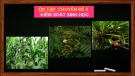 Bài giảng Chuyên đề Sinh học 12: Ôn tập Chuyên đề 2 (Sách Chân trời sáng tạo)