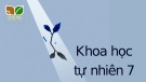 Bài giảng Khoa học tự nhiên 7 - Bài 27: Thực hành: Hô hấp ở thực vật (Sách Kết nối tri thức)