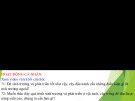 Bài giảng Khoa học tự nhiên 7 - Bài 15: Ứng dụng sinh trưởng và phát triển ở sinh vật vào thực tiễn (Sách Kết nối tri thức)