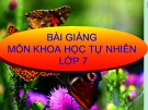 Bài giảng Khoa học tự nhiên 7 - Bài 26: Một số yếu tố ảnh hưởng đến hô hấp tế bào (Sách Kết nối tri thức)