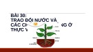 Bài giảng Khoa học tự nhiên 7 - Bài 30: Trao đổi nước và các chất dinh dưỡng ở thực vật (Sách Kết nối tri thức)