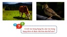 Bài giảng Khoa học tự nhiên 7 - Bài 31: Trao đổi nước và chất dinh dưỡng ở động vật (Sách Kết nối tri thức)