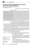Thực trạng về quyền sử dụng đất, quyền sở hữu nhà ở của cá nhân nước ngoài tại Việt Nam
