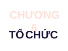 Bài giảng Quản trị học: Chương 6 - ThS. Trần Nhân Phúc