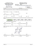 Đề thi học kì 1 môn Toán lớp 11 năm 2024-2025 - Trường THCS&THPT Liên Việt Kon Tum
