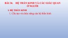 Bài giảng Khoa học tự nhiên 8 - Bài 34: Hệ thần kinh và các giác quan ở người (Sách Cánh diều)