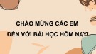Bài giảng Khoa học tự nhiên 8 - Bài 14: Khối lượng riêng (Sách Cánh diều)