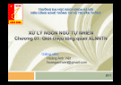Bài giảng Xử lý ngôn ngữ tự nhiên: Chương 1 - Hoàng Anh Việt