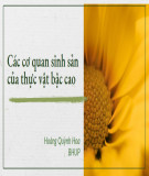 Bài giảng Các cơ quan sinh sản của thực vật bậc cao: Phần 1 - Hoàng Quỳnh Hoa