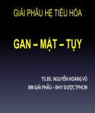 Bài giảng Giải phẫu hệ tiêu hóa: Gan, mật, tụy - TS.BS. Nguyễn Hoàngvũ