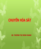 Bài giảng Chuyển hóa sắt - BS. Trương Thị Minh Khang